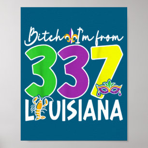 Poster Je suis 337 louisiane mardi gras carnaval de la no