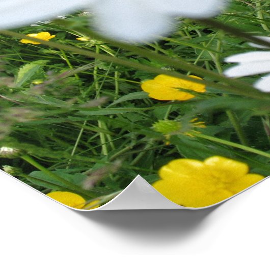 Poster Je suis à One fleur sauvage (Coin)