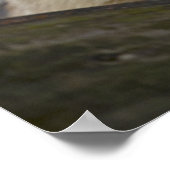 Poster Je suis All Ears Print (Coin)