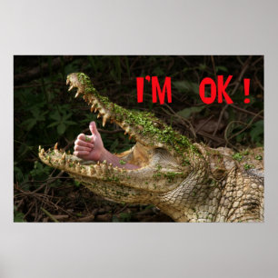 Poster Je suis bien !