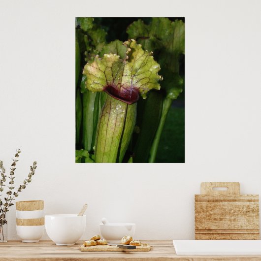 Poster Je suis carnivore ! (Cuisine)