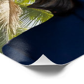 Poster Je suis des noix de coco pour Kamala (Coin)