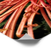 Poster Je suis le chemin et la vérité (Coin)