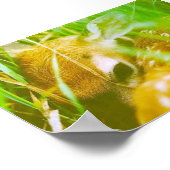 Poster Je suis timide (Coin)