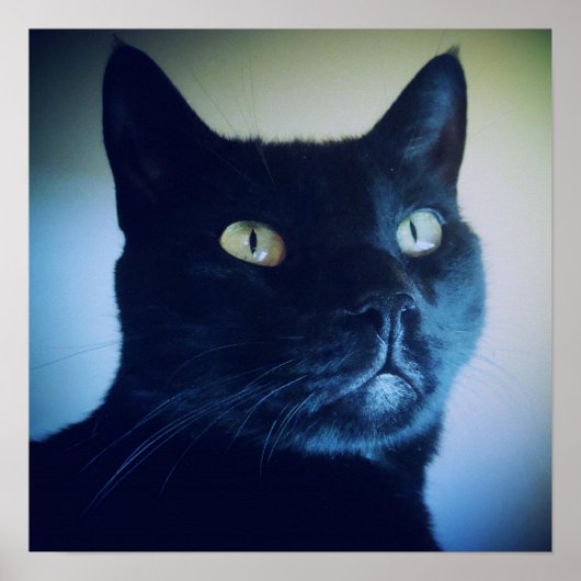 Poster Je suis un chat imprimé (Devant)