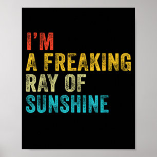 Poster Je suis un putain de rayon de soleil drôle sarcasm