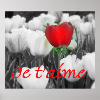 Poster Je t'aime Red Tulip Imprimer