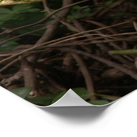 Poster Je vais bien ! (Coin)