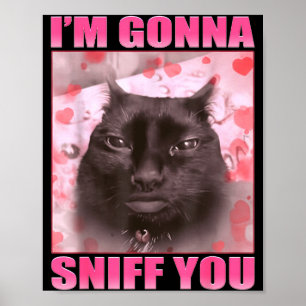 Poster Je vais vous renifler Mèmes de chats drôles Femmes