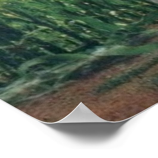 Poster Je Veux Croire, Années Rétro 90, Peinture Alien Va (Coin)