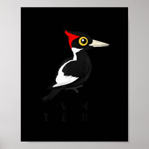 Poster Je Veux Croire Birdorab, Pic À L'Ivoire