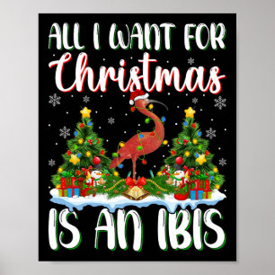 Poster Je Veux Pour Noël Est Un Ibis Oiseau Xmas Poids Ar