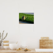 Poster Je viens Papa (Cuisine)