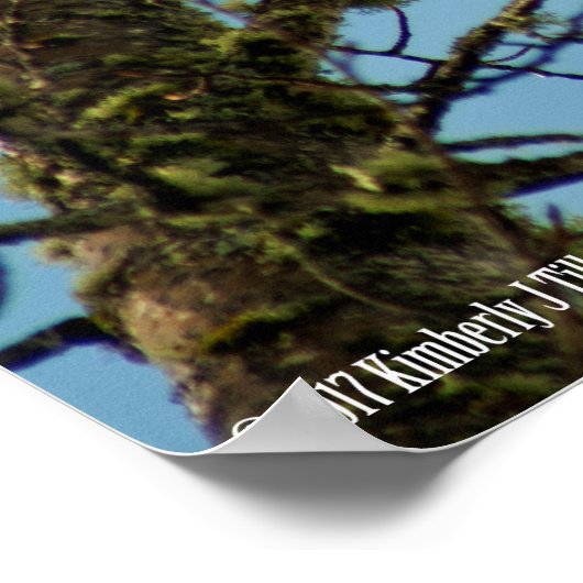 Poster Je vous regarde (Coin)