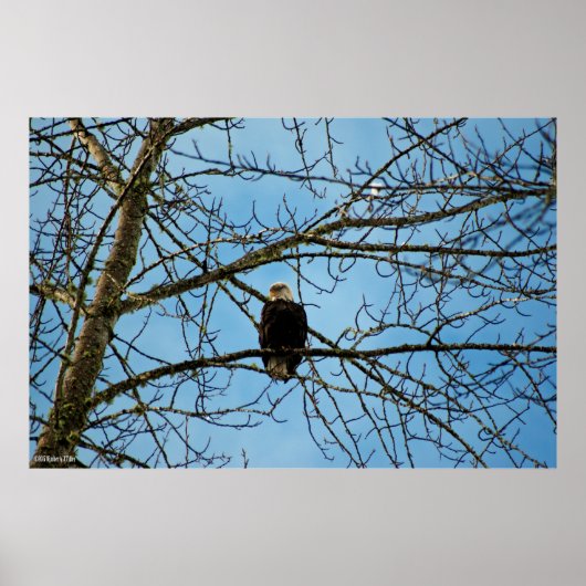 Poster Je vous regarde (Devant)