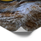 Poster Je vous regarde (Coin)