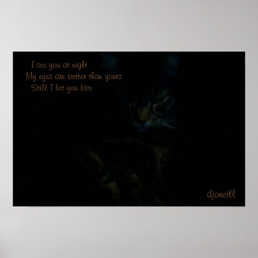 Poster Je vous vois la nuit Cat Haiku (Devant)