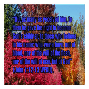 Poster Jean 1:12-13 WEBU