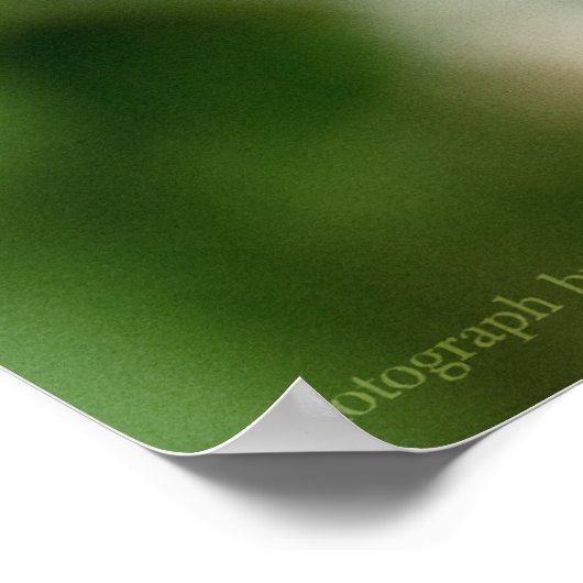 Poster Jean Beauty (Coin)