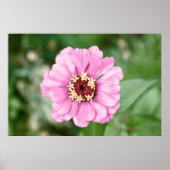 Poster Jean Beauty (Devant)