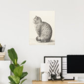 Poster Jean Bernard Assis Chat Animal Art Artiste (Bureau à domicile)