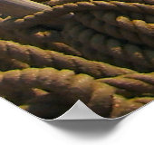 Poster "Jeannie Johnston" Grand navire, tête de figurine (Coin)