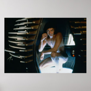 Poster Jeff Goldblum La Volée