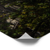 Poster Jelenia Góra Architecture Print - Red Roof Turret (Coin)