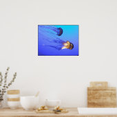 Poster Jellies (Cuisine)