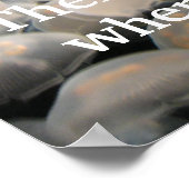 Poster Jelly Jam (Coin)