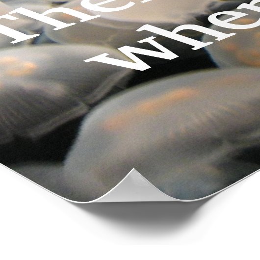 Poster Jelly Jam (Coin)