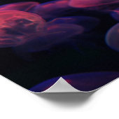 Poster Jelly Love (Coin)