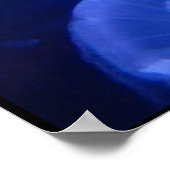 POSTER JELLYFISH (Coin)