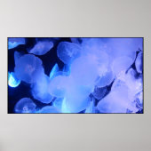 POSTER JELLYFISH (Devant)