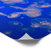 Poster Jellyfish Baignade Photo Océan (Coin)