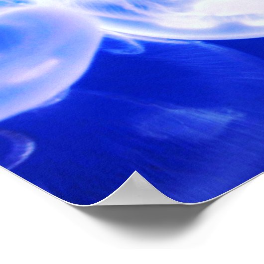 Poster Jellyfish Deep Blue (Coin)