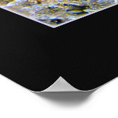 Poster Jellyship (Coin)