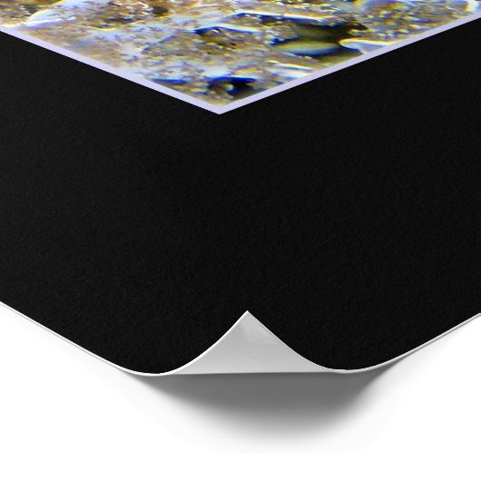 Poster Jellyship (Coin)