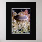 Poster Jellyship (Devant)