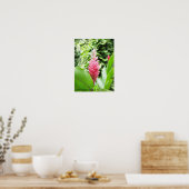 Poster Jengibre rosado (gingembre rose) (Cuisine)