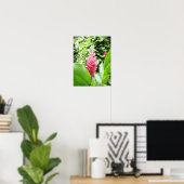 Poster Jengibre rosado (gingembre rose) (Bureau à domicile)