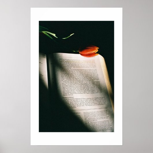 Poster Jeremiah (Devant)