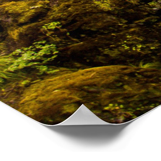 Poster Jérémie 17:7-8 Écriture biblique chrétienne Nature (Coin)