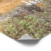 Poster Jérémie 29:11 Plans de Dieu Bible Verse Vibrant (Coin)