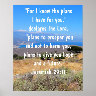 Poster Jérémie 29:11 Plans de Dieu Bible Verse Vibrant