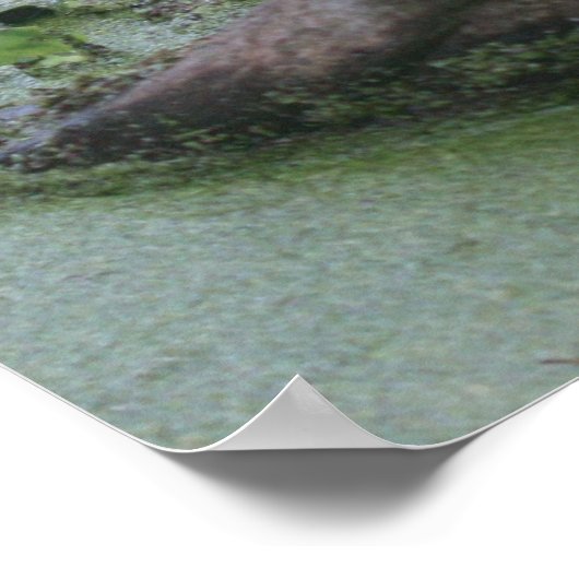 Poster Jérémie 29:13 Écriture Imprimer (Coin)