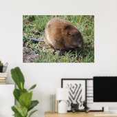 Poster Jerry le rat musqué (Bureau à domicile)