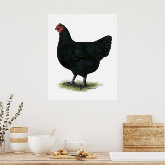 Poster Jersey Giant : Black Hen (Cuisine)