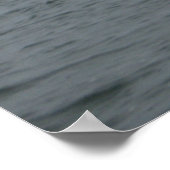 Poster Jersey Shore (Coin)