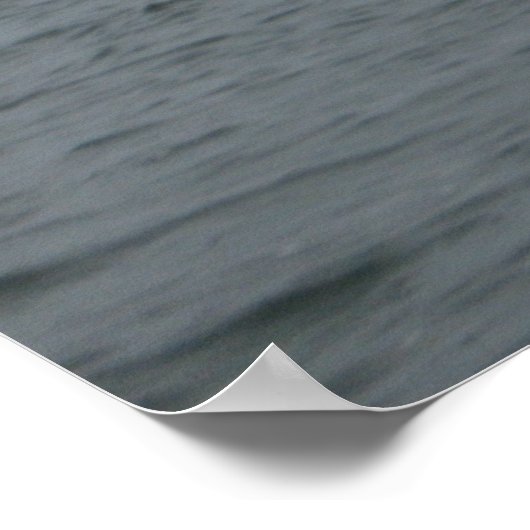 Poster Jersey Shore (Coin)